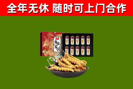 商水县回收冬虫夏草价格