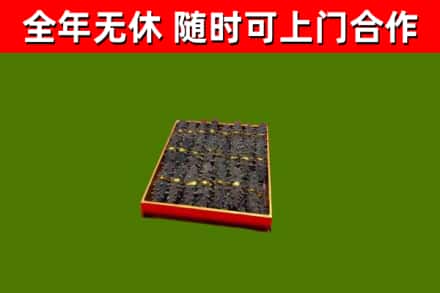 商水县回收海参